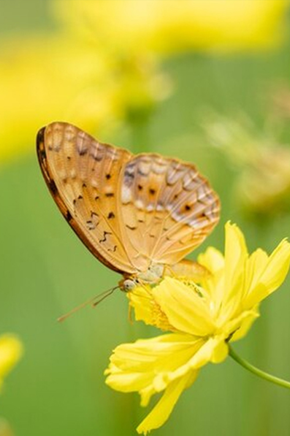 Natuurverkenning